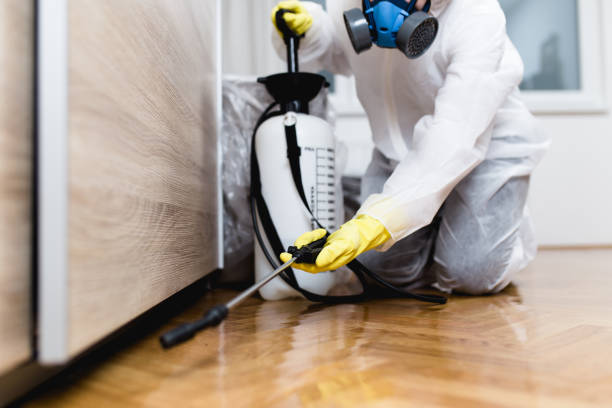 Best Residential Pest Control  in Buena Vista, CO