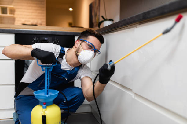 Best Bed Bug Extermination  in Buena Vista, CO