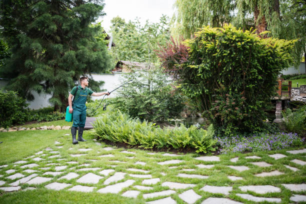 Best Wildlife Control Services  in Buena Vista, CO