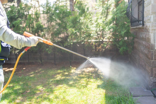 Best Commercial Pest Control Services  in Buena Vista, CO