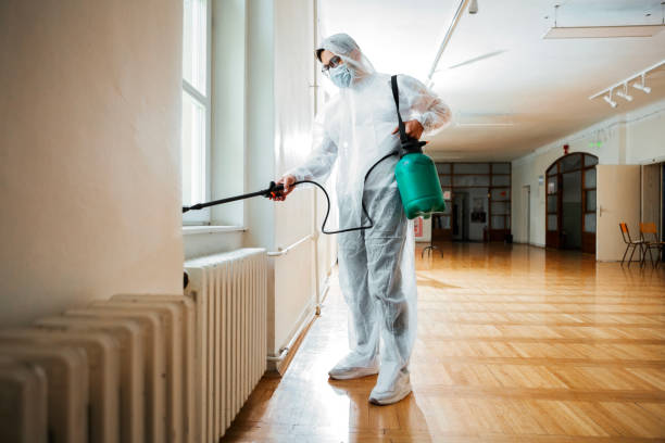 Best Termite Control Services  in Buena Vista, CO