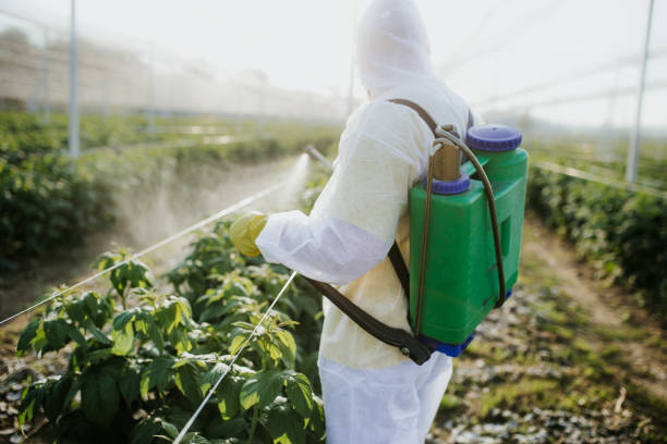 Best Mosquito Control Services  in Buena Vista, CO